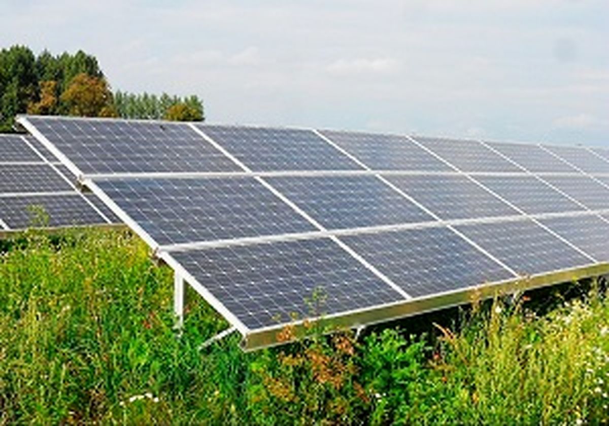 حل مشکل برق کشور به کمک پنل‌های خورشیدی دانش‌بنیان