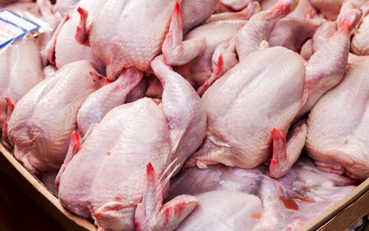 علت افزایش قیمت مرغ امتناع از عرضه بود