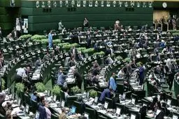 چرا طرح تامین کالاهای اساسی از دستور کار مجلس خارج شد؟