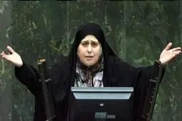 پوپولیست ها در مجلس چه می‌گویند؟