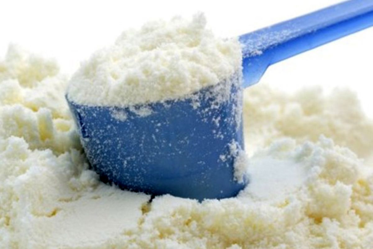 رئیس انجمن گاوداران: دولت با واردات شیرخشک موافقت نکرد