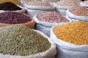 سود در واردات «عدس» است