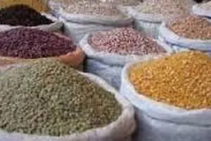 سود در واردات «عدس» است