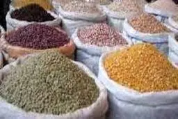 سود در واردات «عدس» است