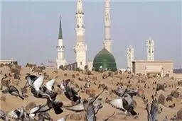 محل دفن امام صادق(ع) در قبرستان بقیع+ عکس