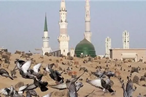 محل دفن امام صادق(ع) در قبرستان بقیع+ عکس