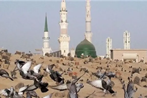 محل دفن امام صادق(ع) در قبرستان بقیع+ عکس
