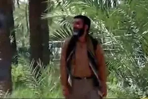 مستند 