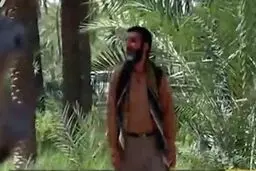 مستند 