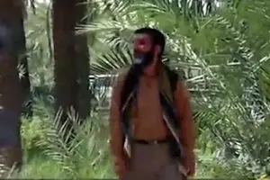 مستند 
