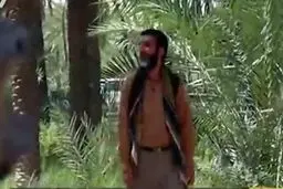 مستند 