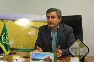 گاو‌هایی که فقط دلار می‌خورند!