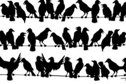 شایعه‌ای که به طور گسترده پخش شد