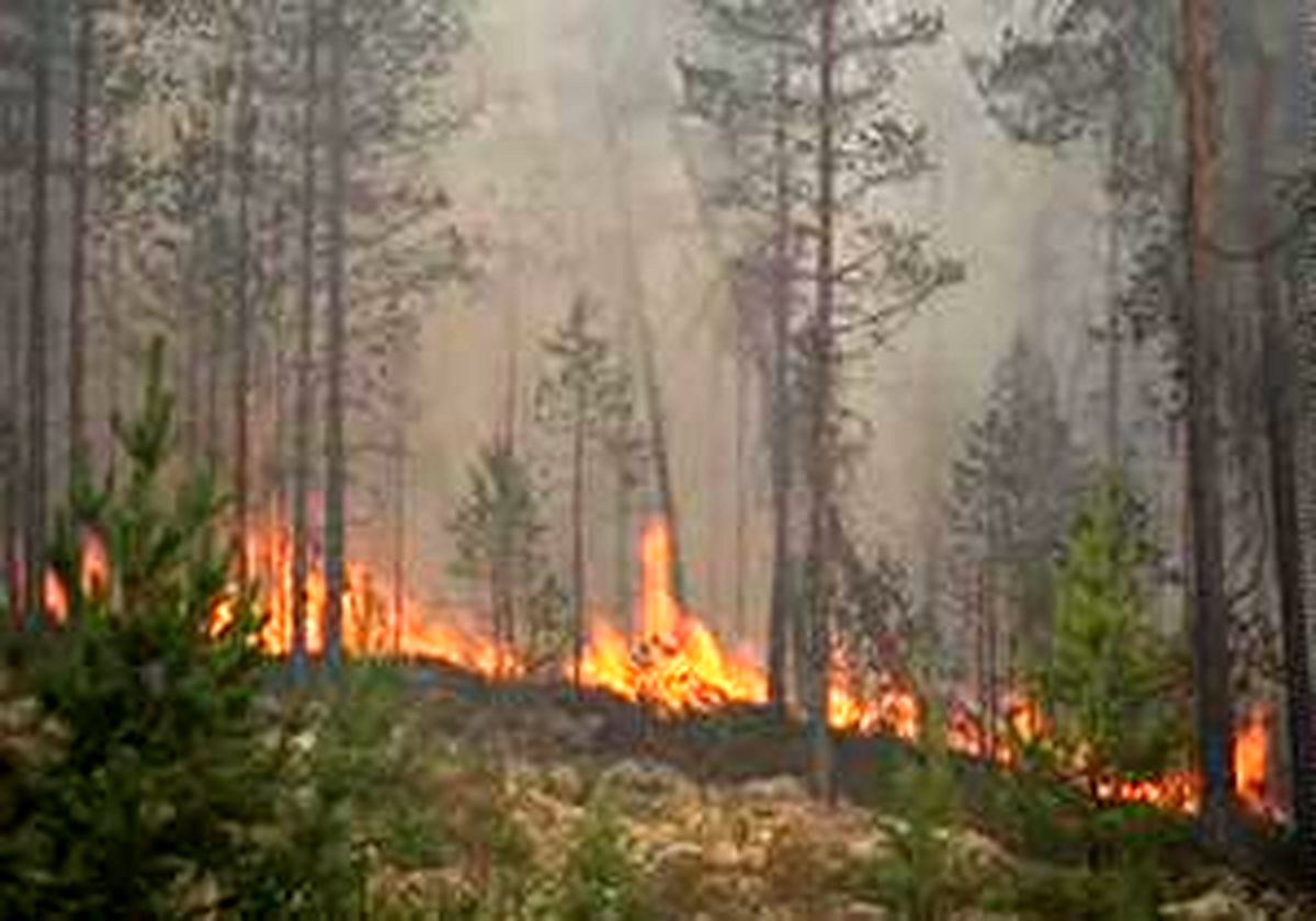 گسترده‌ترین آتش‌سوزی جنگل‌های سوئد در ۱۲ سال اخیر