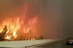 موج گرما در اروپا و آمریکای شمالی