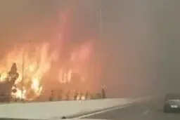موج گرما در اروپا و آمریکای شمالی