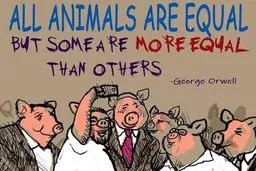 همه چیز درباره قانون دولت-ملت یهود