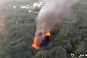 شاید آتش‌سوزی هورالعظیم عمدی باشد