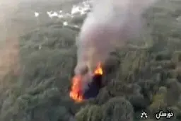 شاید آتش‌سوزی هورالعظیم عمدی باشد