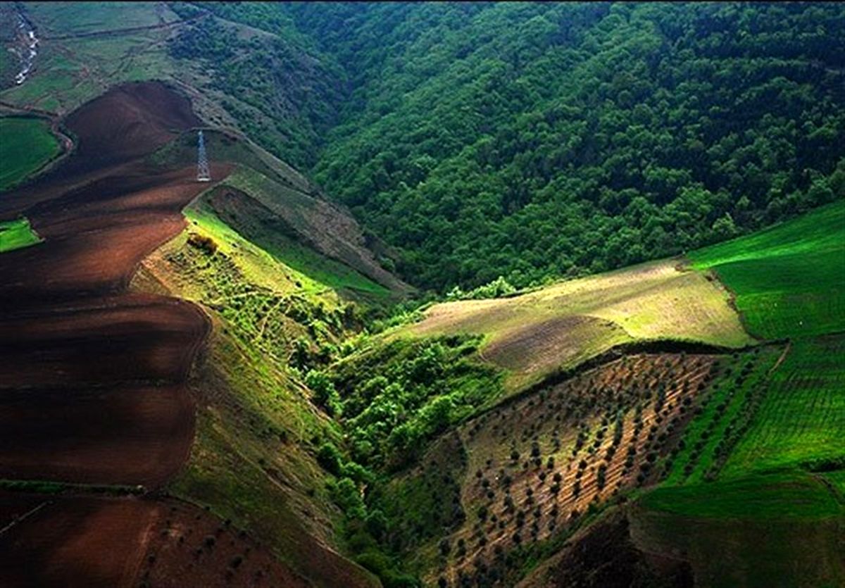 جزئیات ورود ارزیابان جهانی به ایران برای ثبت جنگلهای هیرکانی