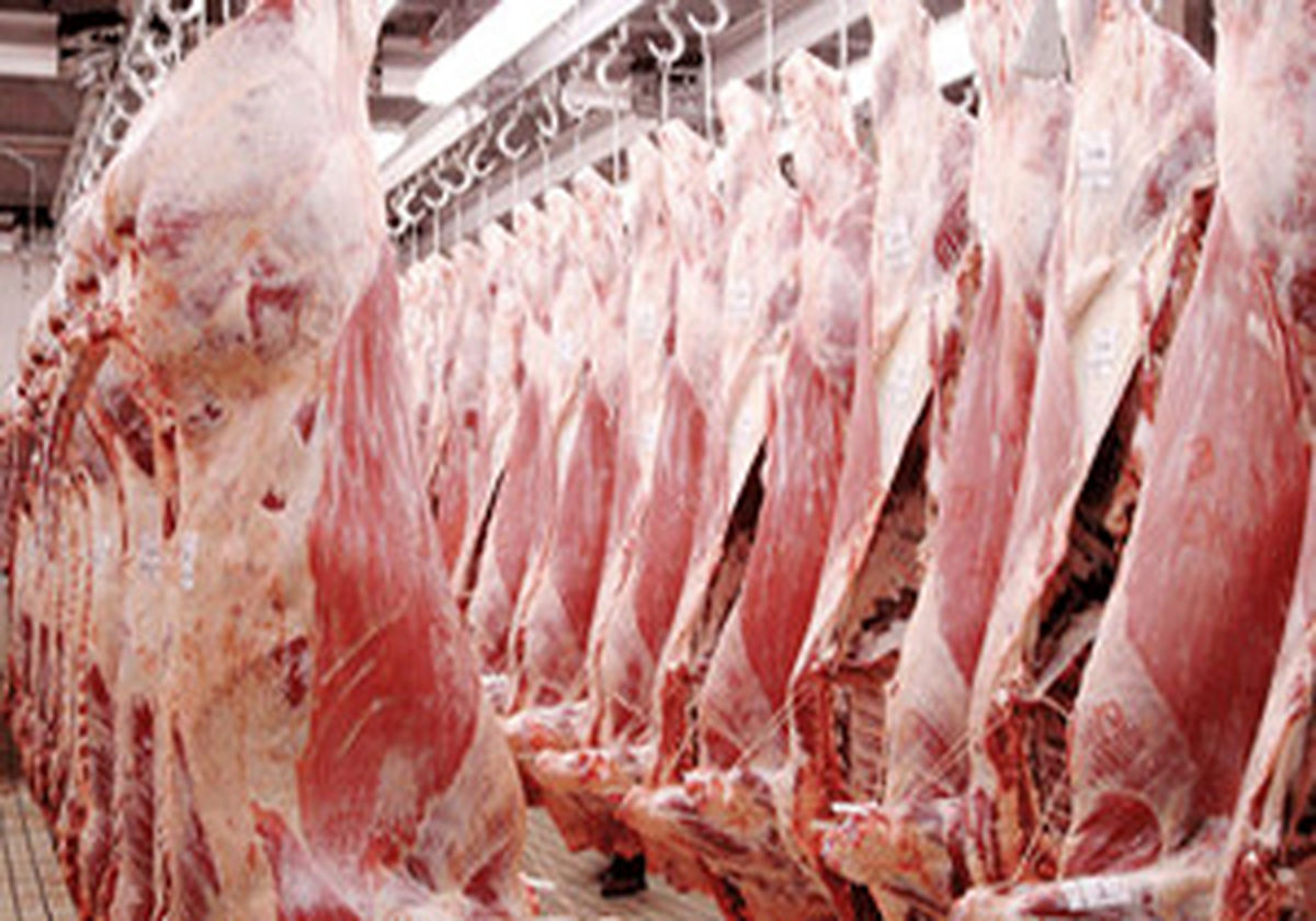 ثبات نرخ گوشت در بازار/ قاچاق دام زنده به راحتی از مرزها صورت می‌گیرد