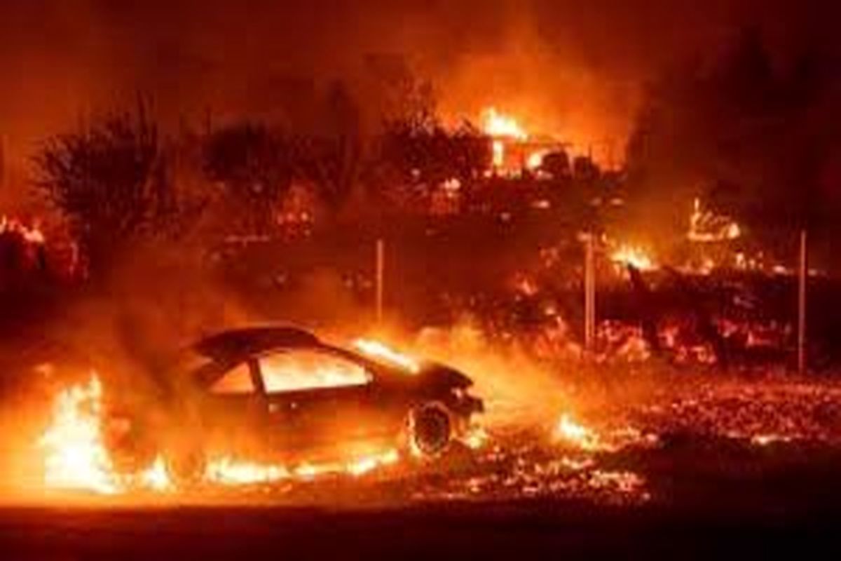 چند کشته در آتش سوزی شمال کالیفرنیا