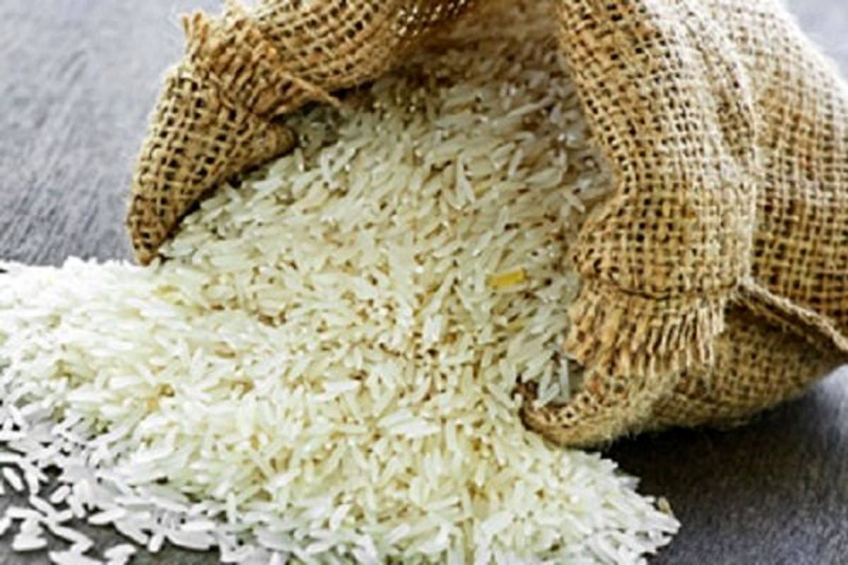 تولید برنج به ۲ میلیون و ۳۵۰ هزارتن می‌رسد/ نرخ واقعی هر کیلو برنج طارم ۱۴ هزار و ۵۰۰ تومان