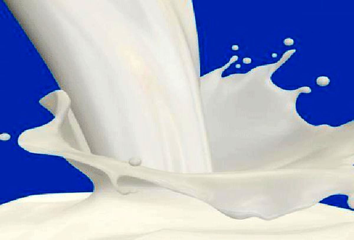 قیمت جدید شیرخام تصویب شد/۲۰۰۰ تومان درب دامداری