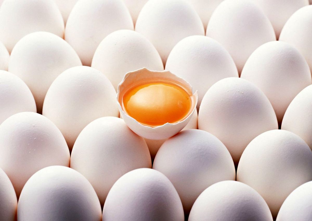 تخم مرغ داخلی، بسته‌ای چند؟
