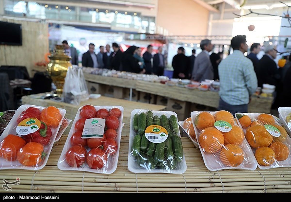 غذای ۹ میلیون نفر در ایران دور ریخته می شود