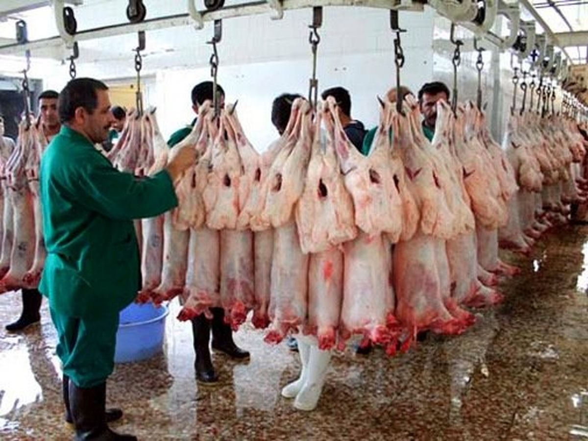 تدبیر مفسده انگیز دولت در تنظیم بازار گوشت قرمز