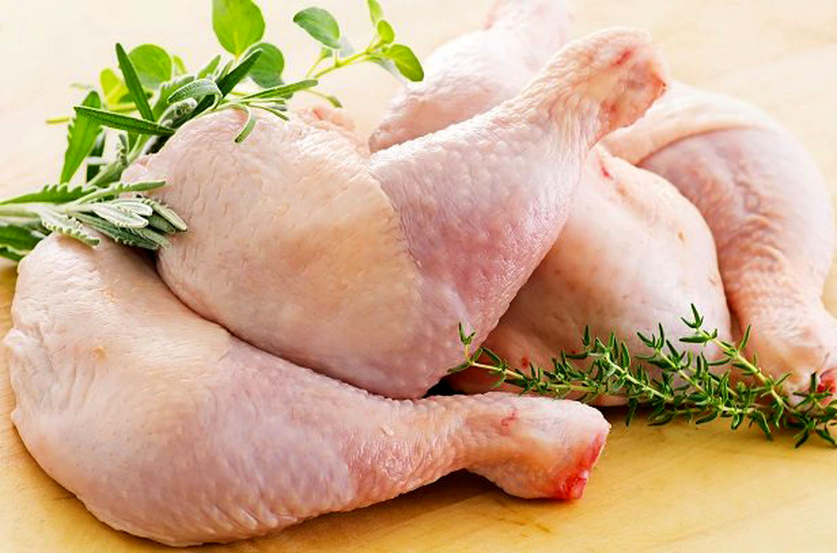افزایش تولید مرغ در کشور/قیمت مرغ و جوجه یکروزه کاهش یافت