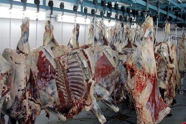 تذکر نمایندگان به وزیر اقتصاد درباره ترخیص ۱۷ هزار تن گوشت از گمرک
