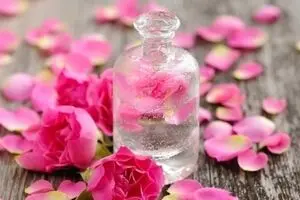 دبیرخانه اتحادیه انجمن های گیاهان دارویی پژوهشکده اسانس تشکیل شد