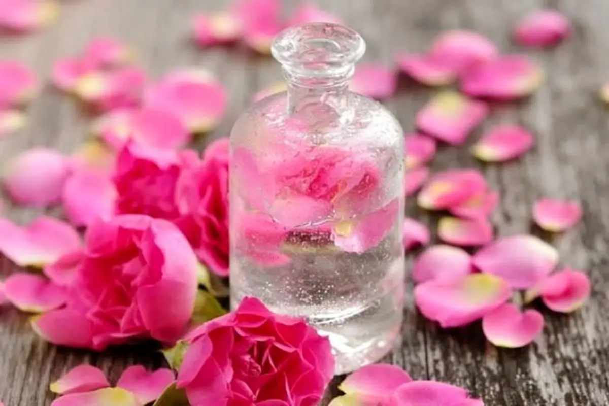 دبیرخانه اتحادیه انجمن های گیاهان دارویی پژوهشکده اسانس تشکیل شد