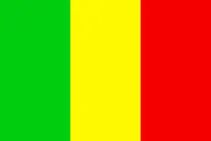 ۱۷ کشته بر اثر جسد بمبگذاری شده در مالی