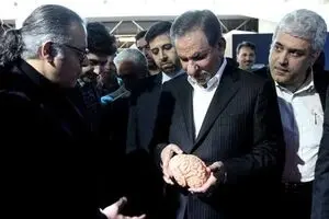 افتتاح نخستین پردیس مغز خاورمیانه در باغ کتاب تهران