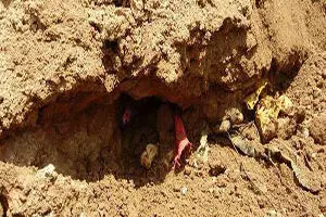 کشف گور جمعی در شمال شرقی سوریه
