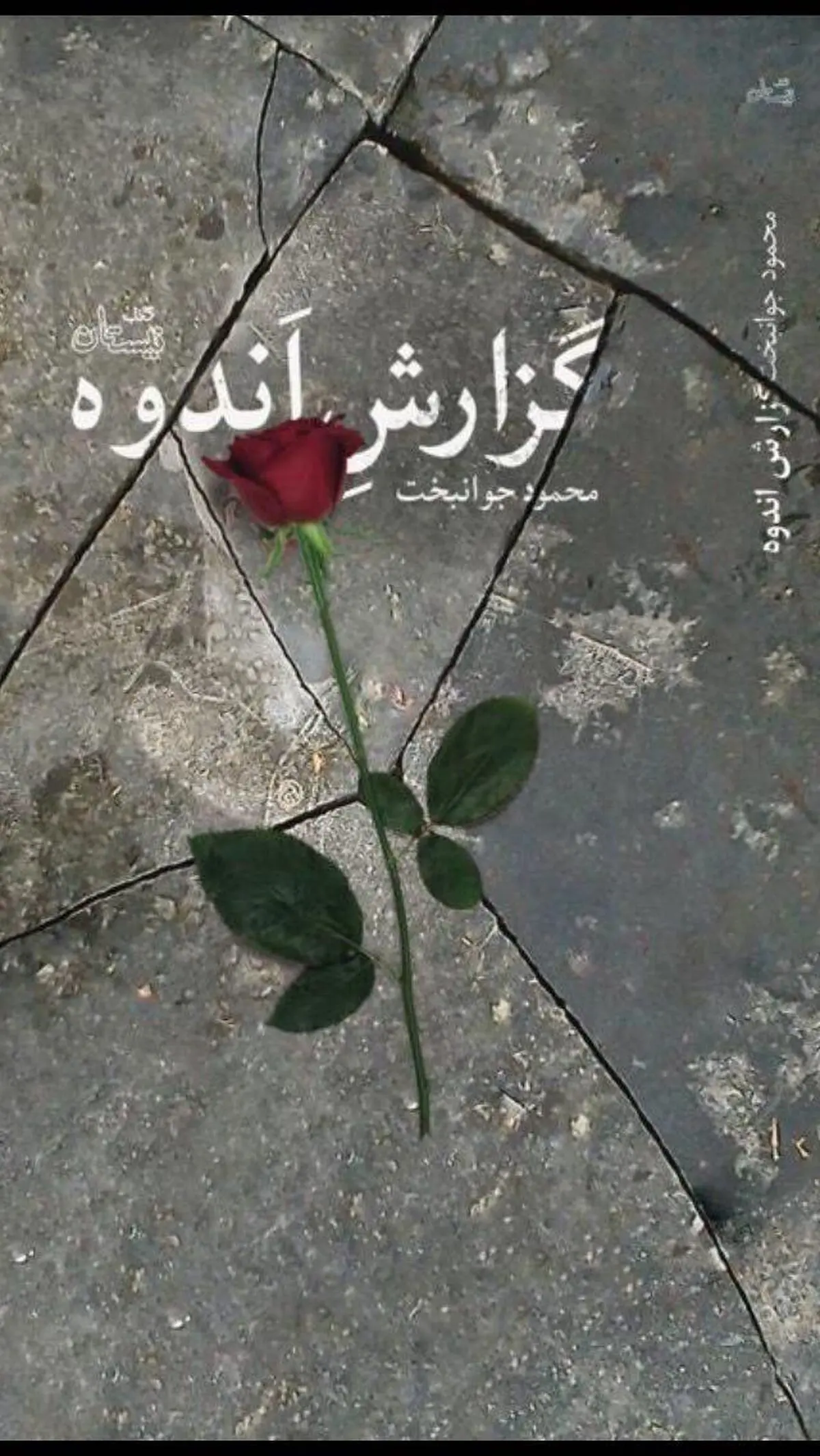 گزارش اندوه منتشر مى‌شود