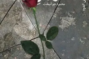 گزارش اندوه منتشر مى‌شود