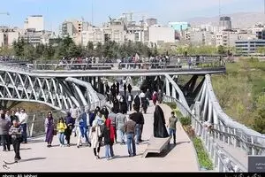 جشنواره 