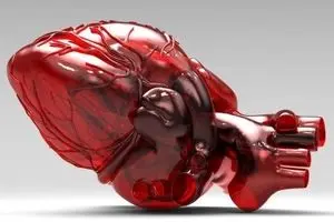 یک گام نزدیک تر به درمان نارسایی قلبی با تولید ریزارگانهای قلب