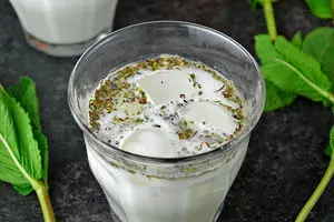 استاندارد بین‌المللی دوغ به نام ایران به ثبت رسید