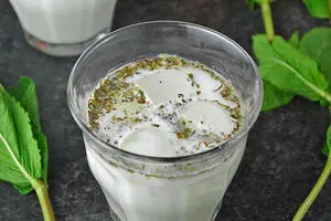 استاندارد بین‌المللی دوغ به نام ایران به ثبت رسید