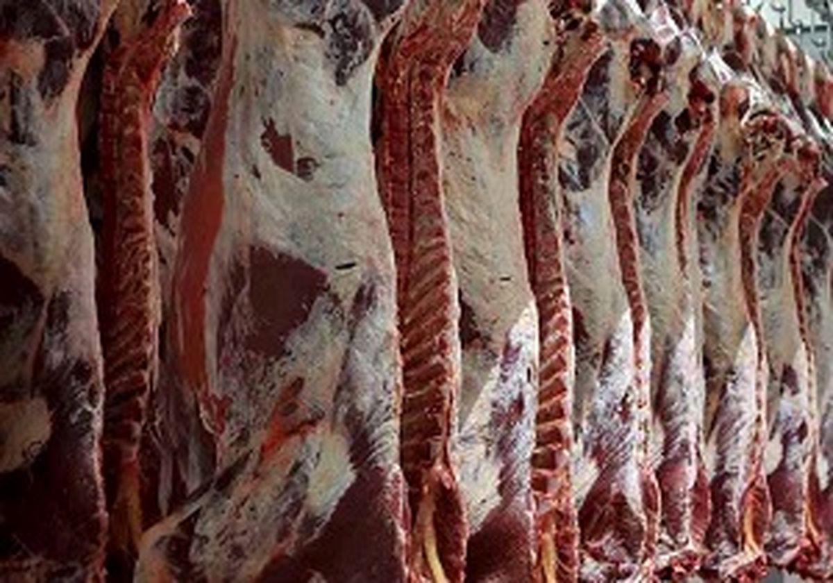 کشف بیش از ۱۶ هزار کیلو گوشت قرمز احتکار شده در کهریزک