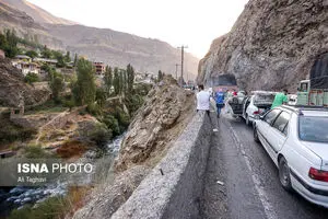 انسداد هراز به علت سقوط درخت