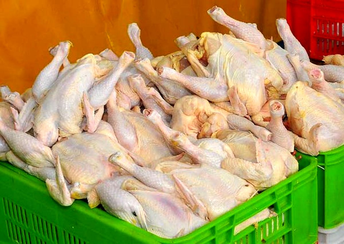 دادستان تهران: قیمت هر کیلو گوشت مرغ ۱۱۵۰۰ تومان است/ گران‌فروشان تحت پیگرد قرار می‌گیرند