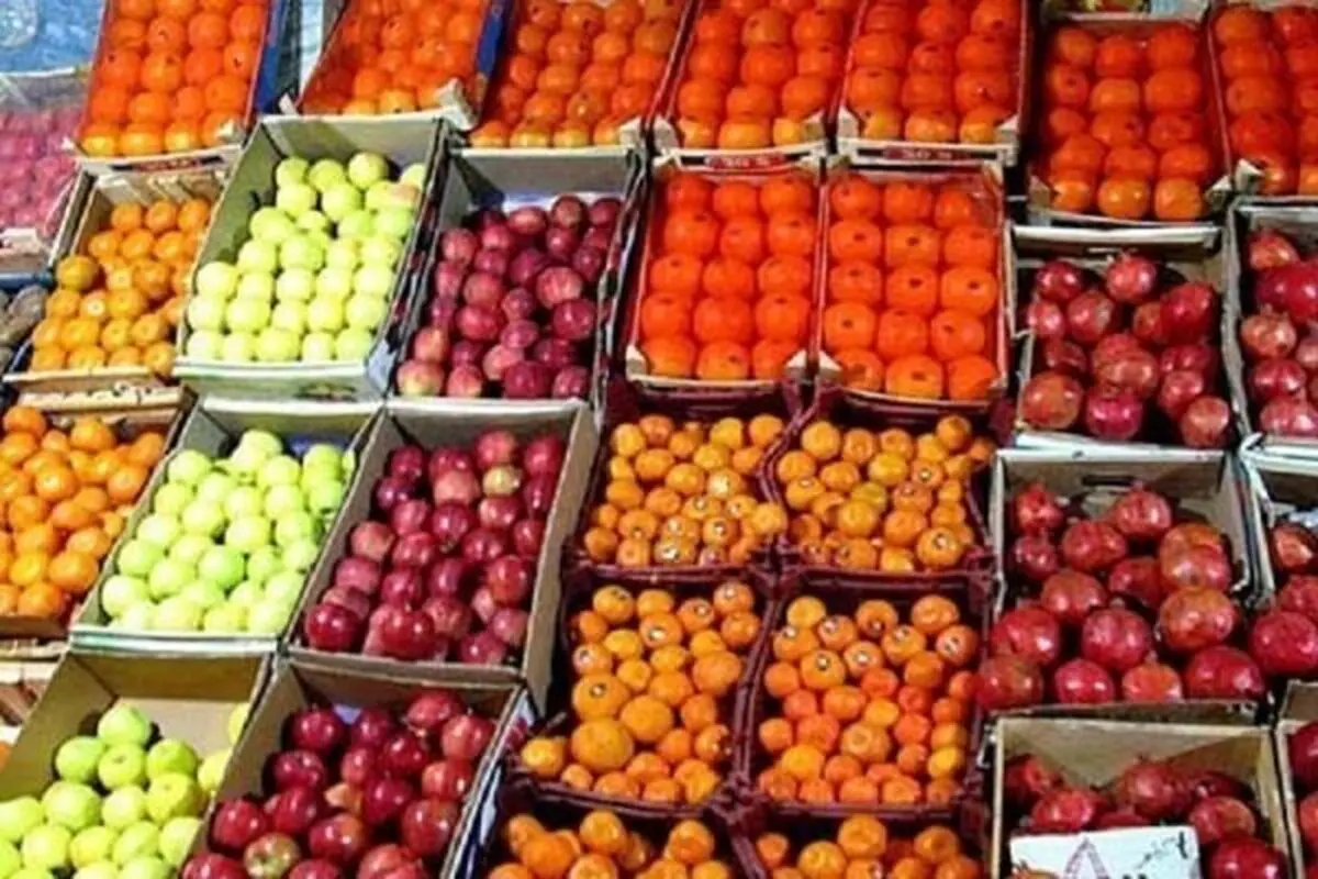 جزئیات قیمت انواع میوه و صیفی در میدان مرکزی میوه و تره بار