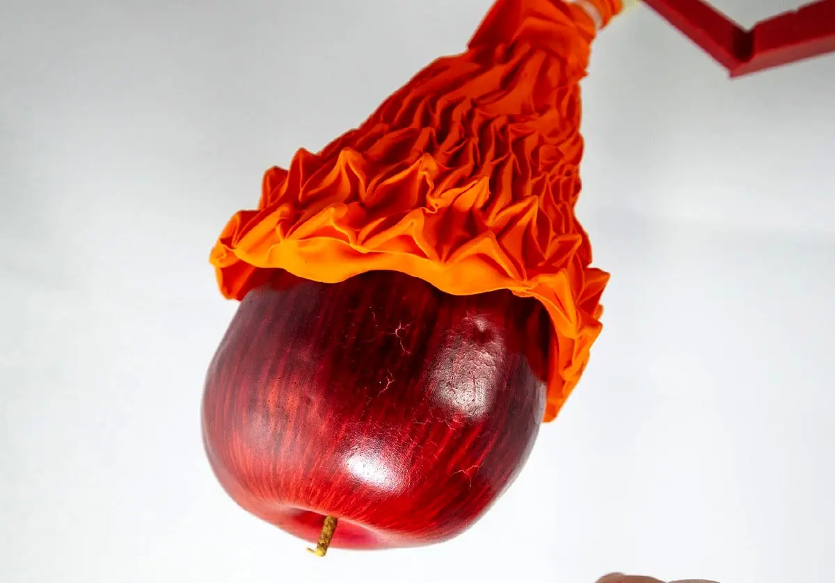 گیره رباتیکی که ۱۰۰ برابر وزن خودش بار بلند می‌کند +تصاویر