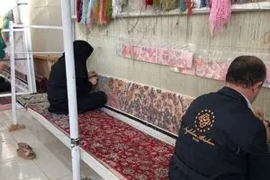 ایجاد اشتغال با تسهیلات کارآفرینی روستایی/ از پرورش توت‌فرنگی تا صادرات فرش و لبنیات